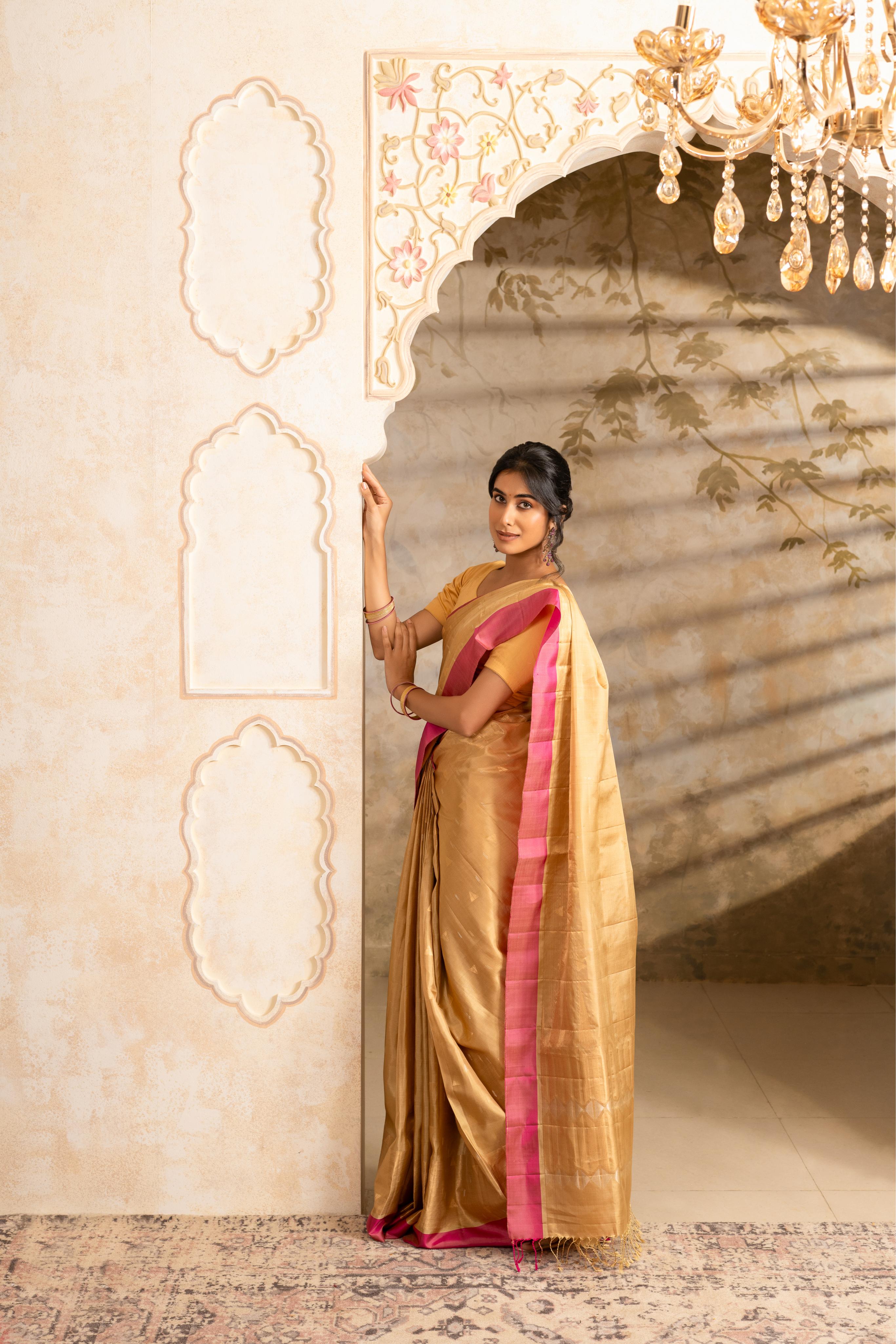 Beige Pure Soft Silk Saree