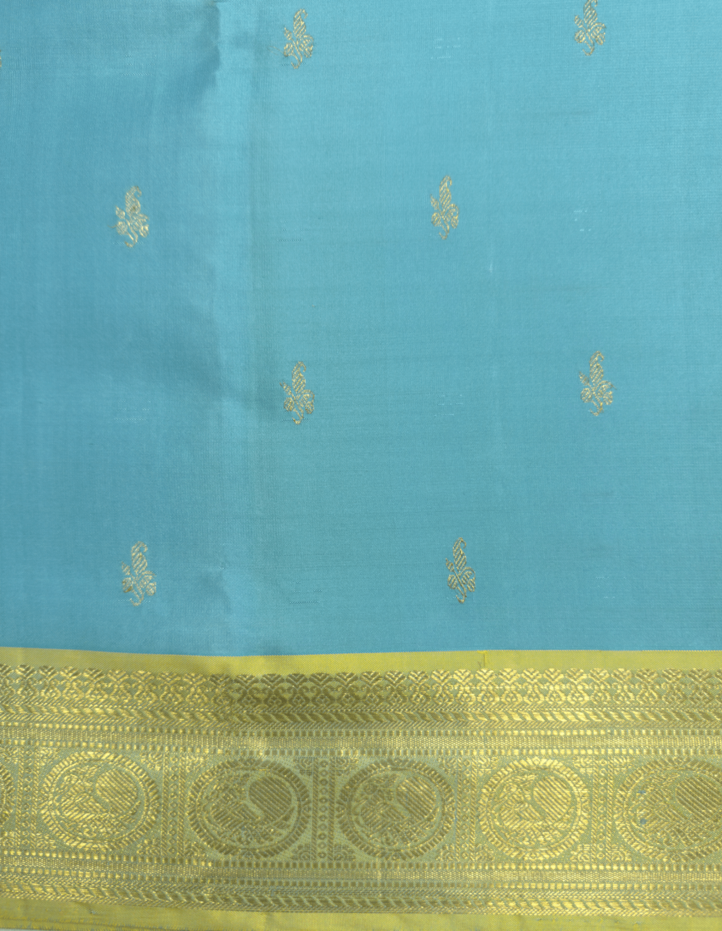 Sky Blue Pure Silk Kanjivaram Saree